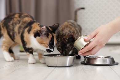 Photo of Woman feeding her cute calico kittens at home, closeup