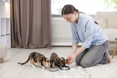 Photo of Woman feeding her cute calico kittens at home