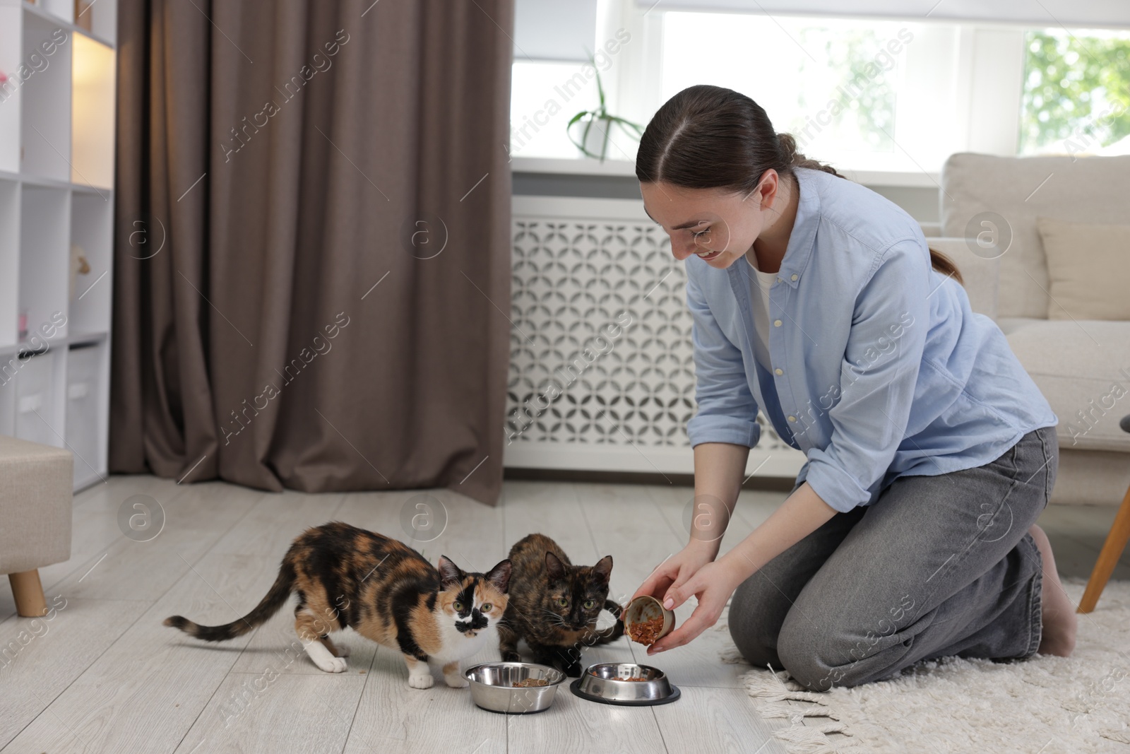 Woman feeding her cute calico kittens at home Photo of Woman feeding her cute calico kittens at home