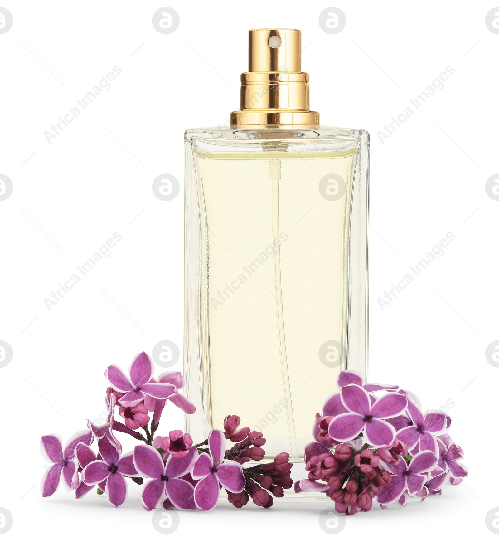 Bottle of luxury perfume and lilac flowers isolated on white Photo of Bottle of luxury perfume and lilac flowers isolated on white