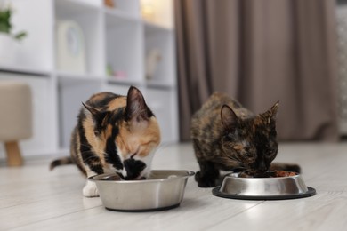 Photo of Cute calico kittens eating pet food on floor at home