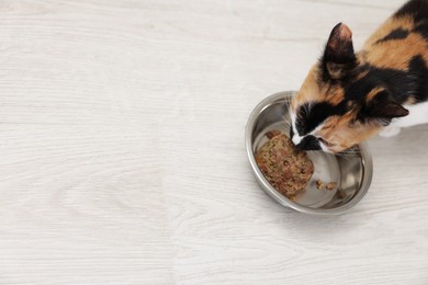 Photo of Cute calico kitten eating pet food from bowl on floor at home, top view. Space for text