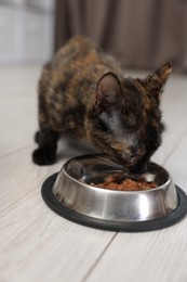 Photo of Cute calico kitten eating pet food from bowl on floor at home, closeup
