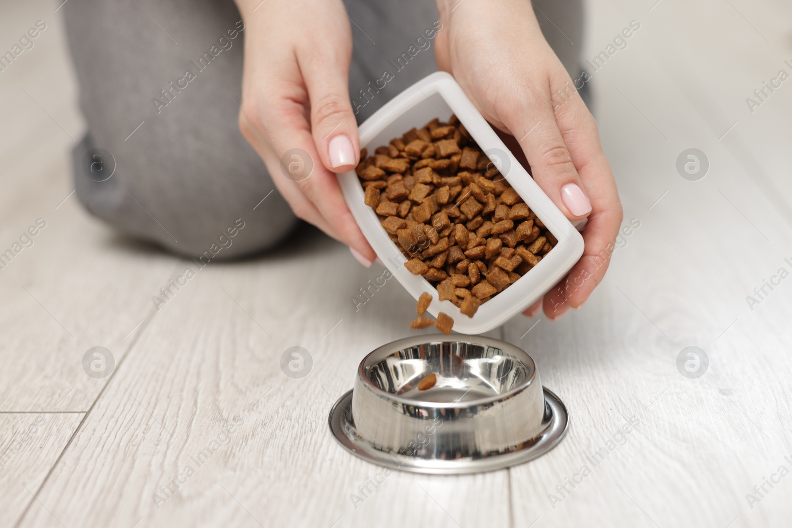 Woman putting dry pet food into bowl on floor at home, closeup Photo of Woman putting dry pet food into bowl on floor at home, closeup