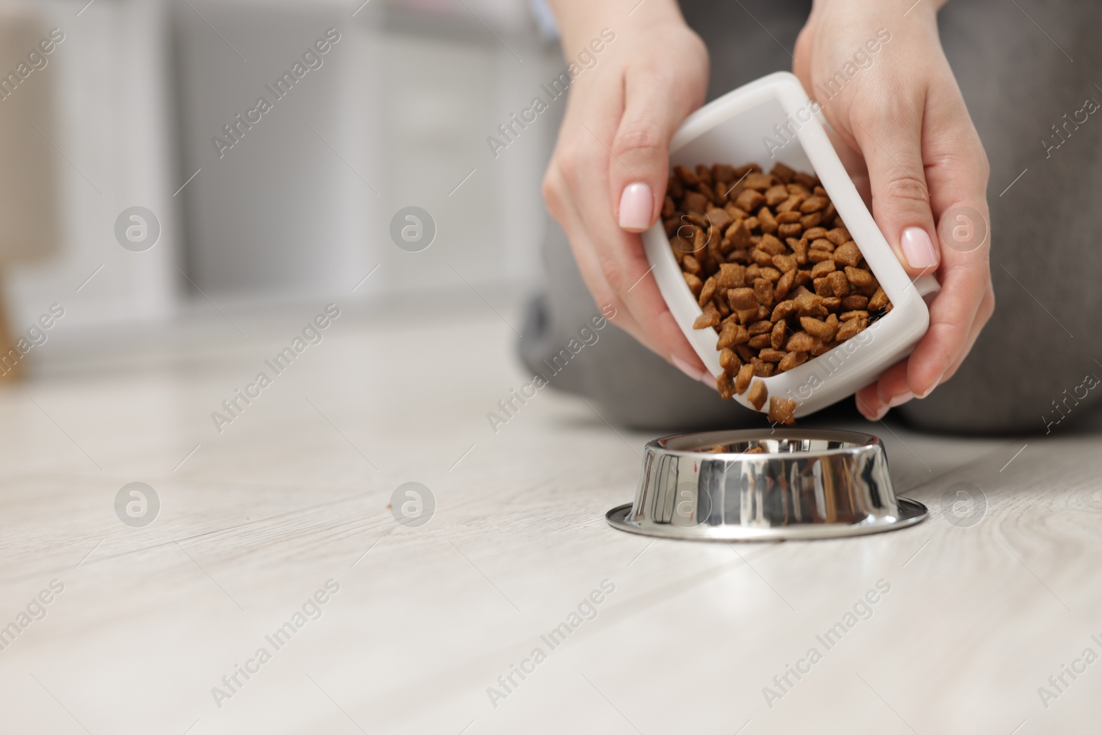 Woman putting dry pet food into bowl on floor at home, closeup. Space for text Photo of Woman putting dry pet food into bowl on floor at home, closeup. Space for text