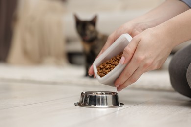 Photo of Woman feeding her cute calico kitten at home, closeup. Space for text