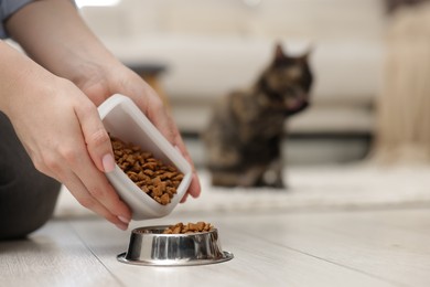 Photo of Woman feeding her cute calico kitten at home, closeup. Space for text