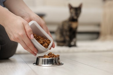Photo of Woman feeding her cute calico kitten at home, closeup. Space for text
