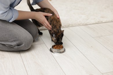 Photo of Woman feeding her cute calico kitten at home, closeup. Space for text