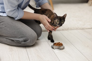 Photo of Woman feeding her cute calico kitten at home, closeup