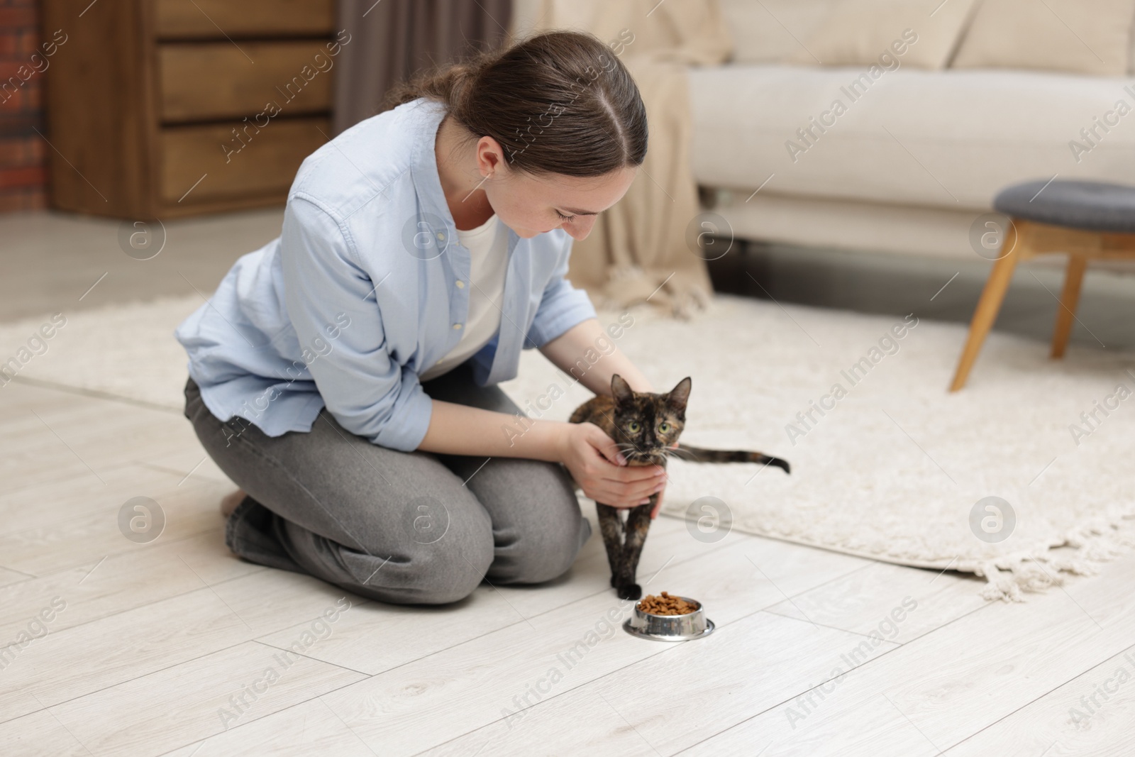 Woman feeding her cute calico kitten at home Photo of Woman feeding her cute calico kitten at home
