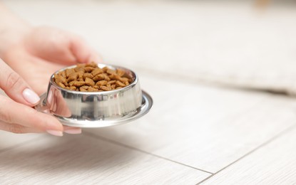 Photo of Woman with bowl of dry pet food on floor at home, closeup. Space for text