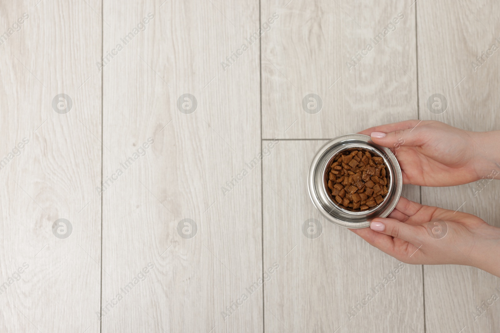 Woman with bowl of dry pet food on floor at home, top view. Space for text Photo of Woman with bowl of dry pet food on floor at home, top view. Space for text
