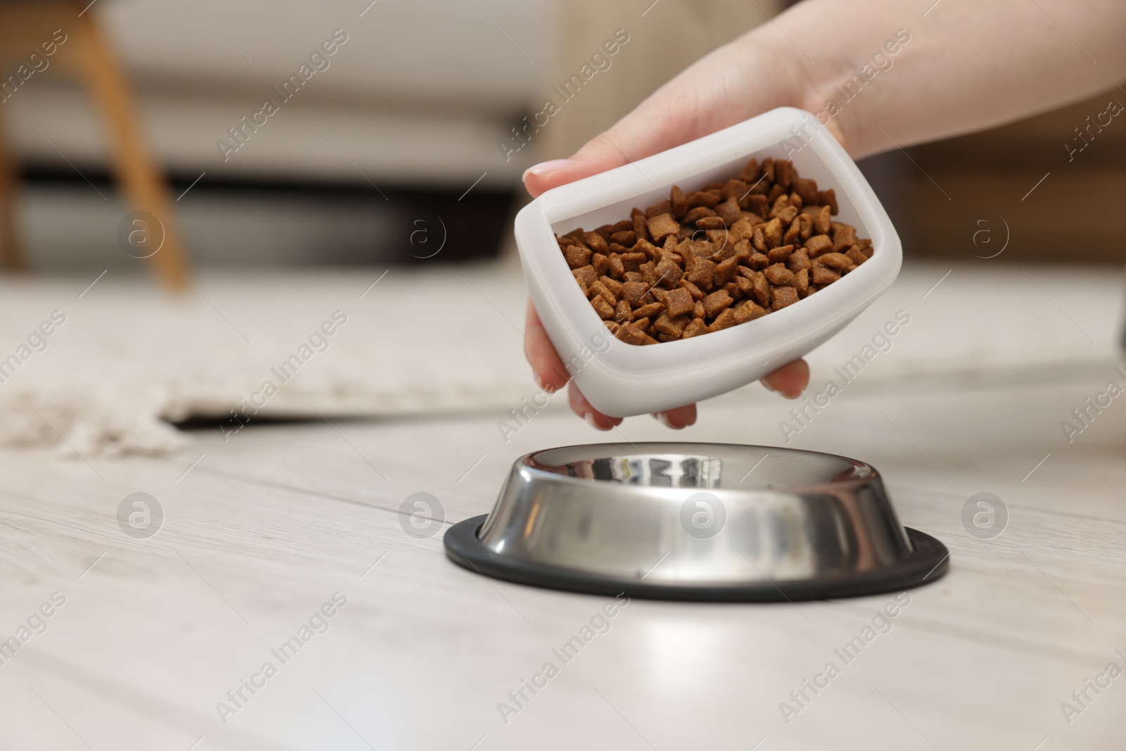 Woman putting dry pet food into bowl on floor at home, closeup. Space for text Photo of Woman putting dry pet food into bowl on floor at home, closeup. Space for text