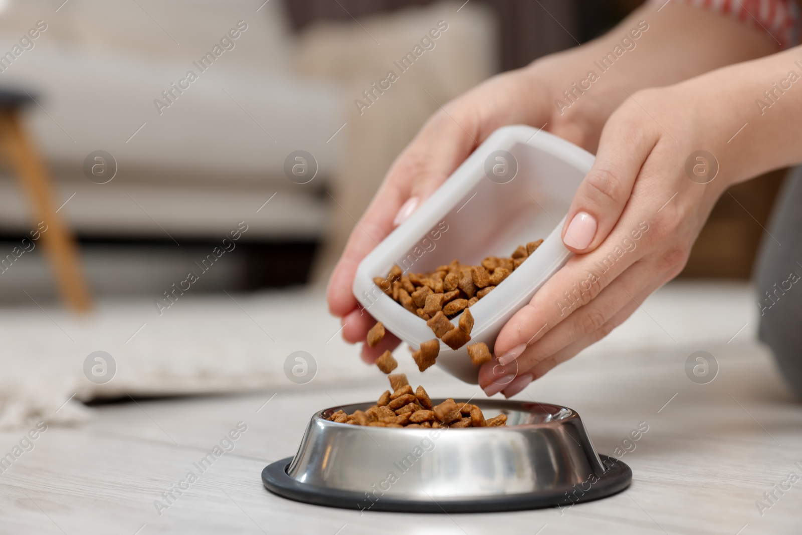 Woman putting dry pet food into bowl on floor at home, closeup Photo of Woman putting dry pet food into bowl on floor at home, closeup