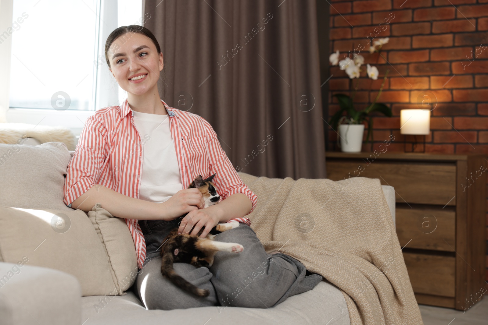Woman with her cute calico kitten of sofa at home, space for text Photo of Woman with her cute calico kitten of sofa at home, space for text
