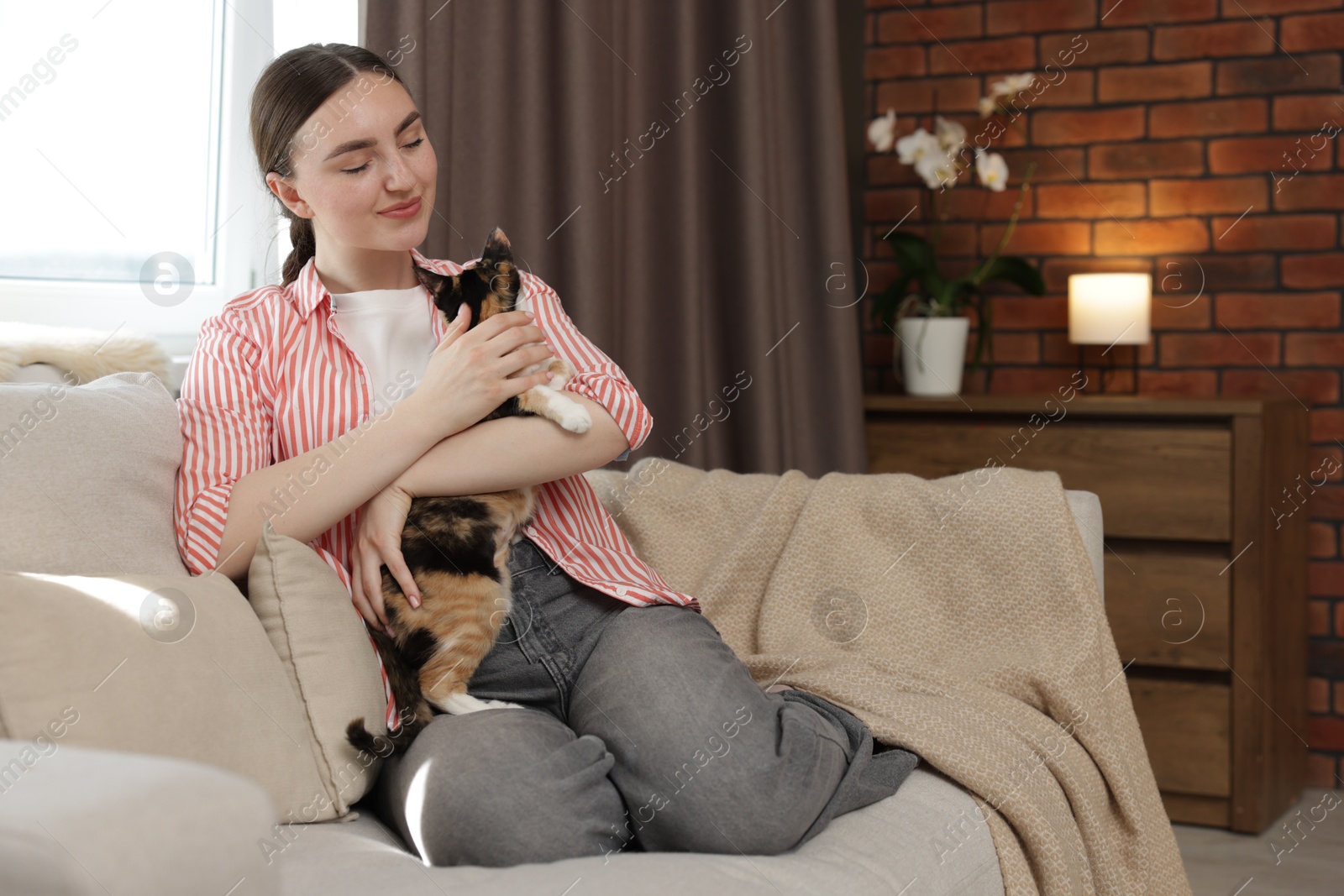 Woman with her cute calico kitten of sofa at home Photo of Woman with her cute calico kitten of sofa at home