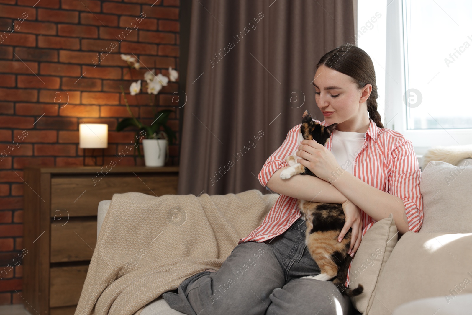 Woman with her cute calico kitten of sofa at home, space for text Photo of Woman with her cute calico kitten of sofa at home, space for text