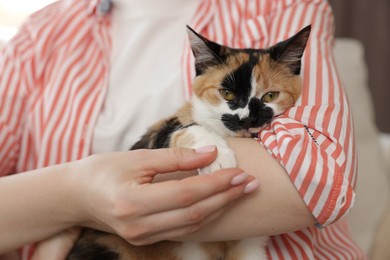 Photo of Woman with her cute calico kitten of sofa at home, closeup