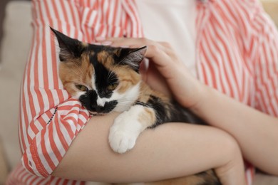 Photo of Woman with her cute calico kitten of sofa at home, closeup
