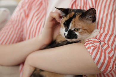 Photo of Woman with her cute calico kitten of sofa at home, closeup