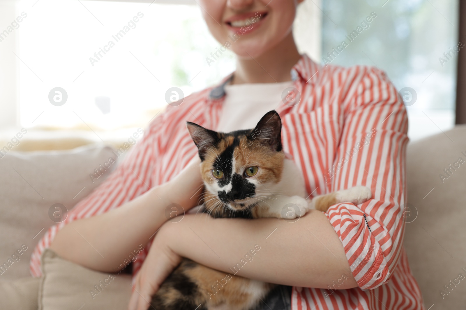 Woman with her cute calico kitten of sofa at home, closeup Photo of Woman with her cute calico kitten of sofa at home, closeup