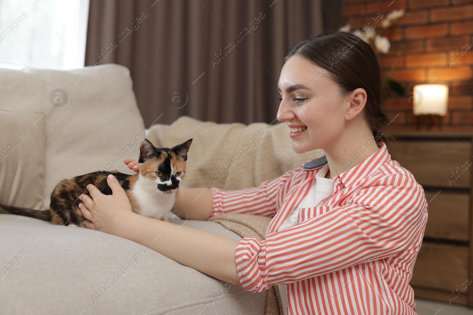 Woman with her cute calico kitten of sofa at home Photo of Woman with her cute calico kitten of sofa at home