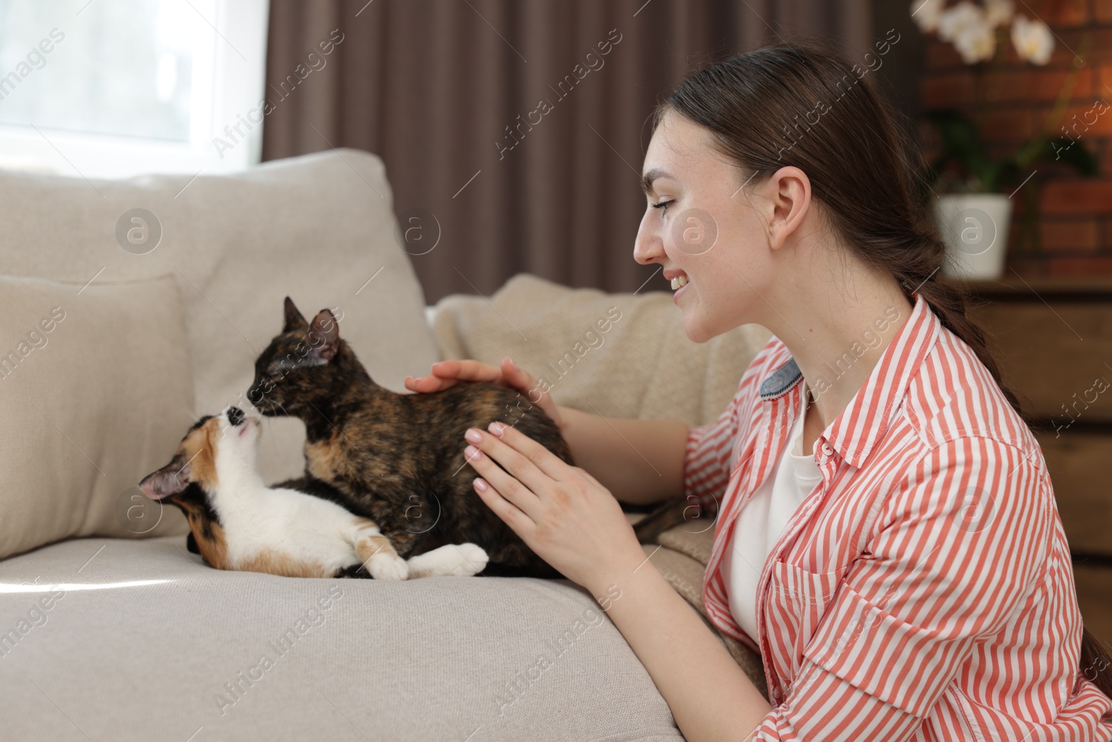 Woman with her cute calico kitten of sofa at home Photo of Woman with her cute calico kitten of sofa at home