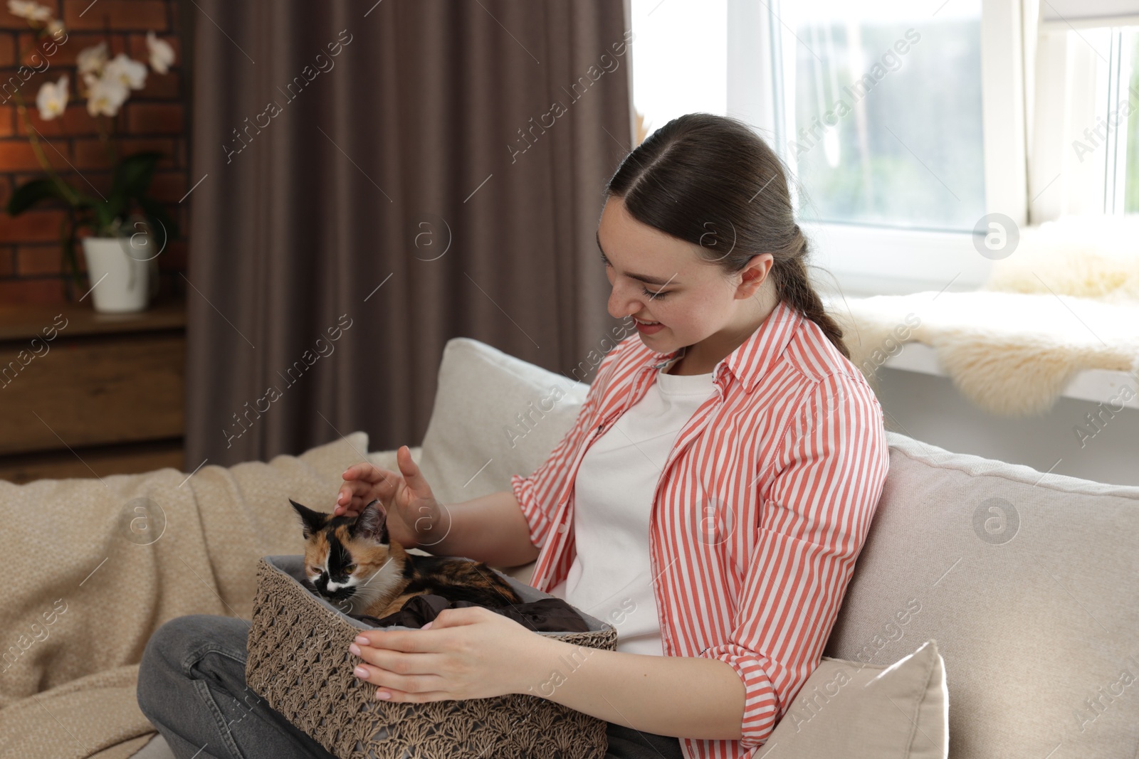 Woman with her cute calico kitten on sofa at home Photo of Woman with her cute calico kitten on sofa at home