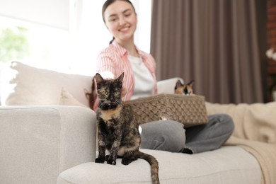 Photo of Woman with her cute calico kittens on sofa at home, selective focus