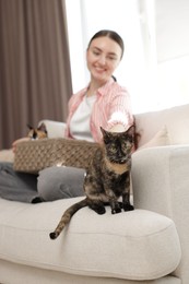 Photo of Woman with her cute calico kittens on sofa at home, selective focus