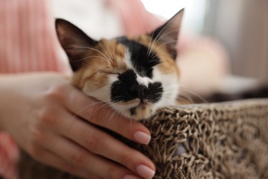 Photo of Woman with her cute calico kitten at home, closeup