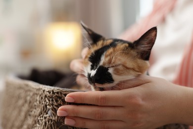 Photo of Woman with her cute calico kitten at home, closeup
