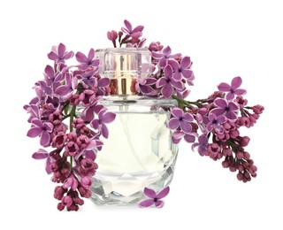 Photo of Bottle of luxury perfume and lilac flowers isolated on white