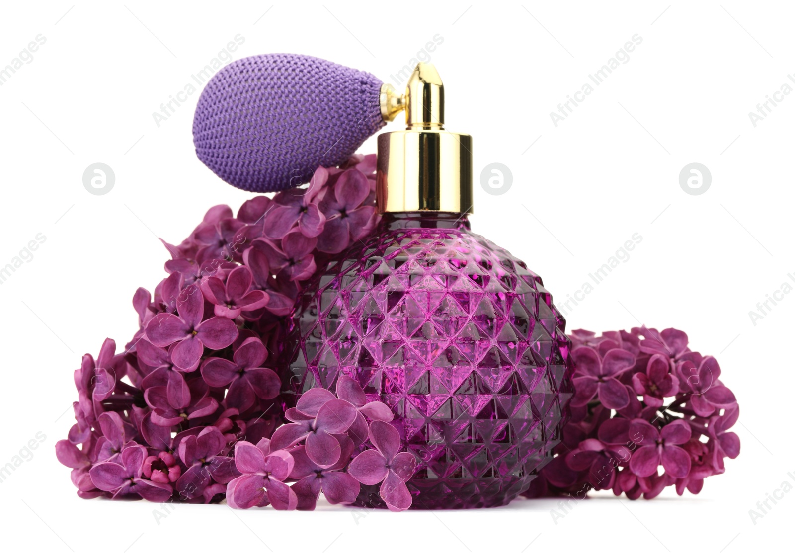 Bottle of luxury perfume and lilac flowers isolated on white Photo of Bottle of luxury perfume and lilac flowers isolated on white
