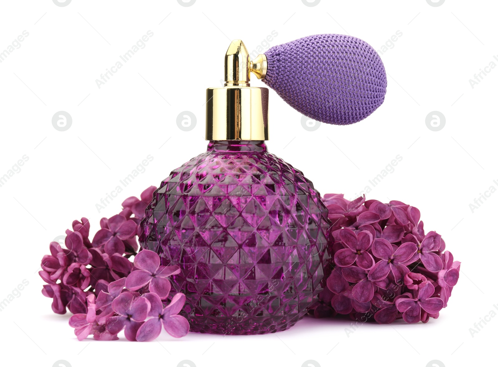Bottle of luxury perfume and lilac flowers isolated on white Photo of Bottle of luxury perfume and lilac flowers isolated on white
