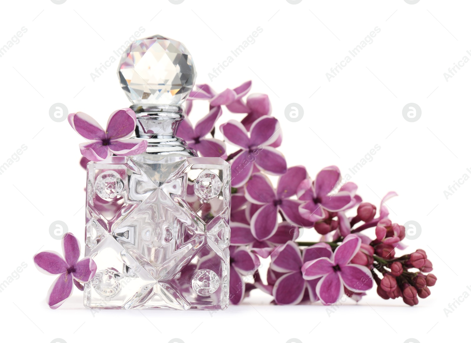 Bottle of luxury perfume and lilac flowers isolated on white Photo of Bottle of luxury perfume and lilac flowers isolated on white