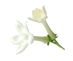 Photo of Beautiful aromatic jasmine flowers isolated on white