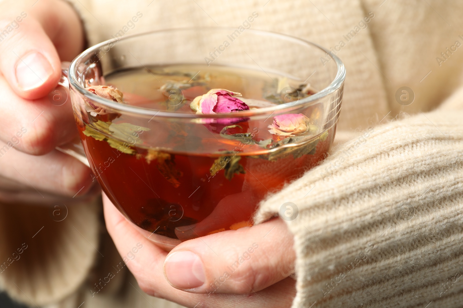 Woman with glass cup of aromatic herbal tea, closeup Photo of Woman with glass cup of aromatic herbal tea, closeup