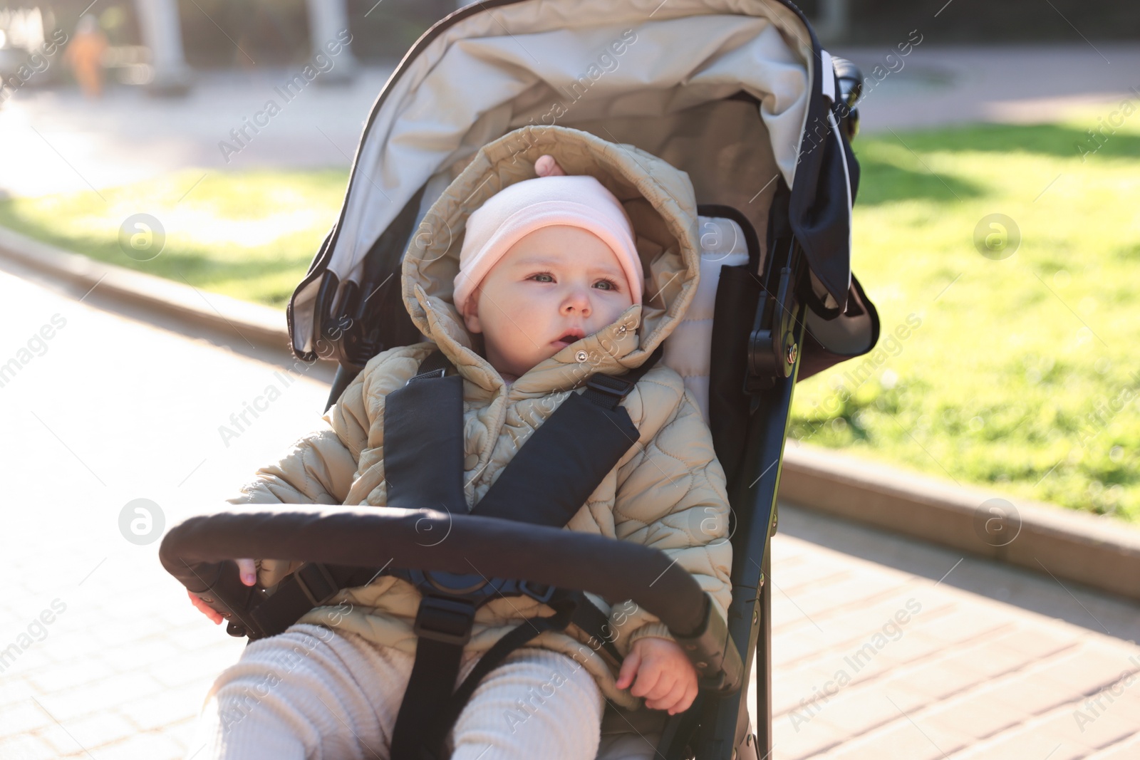 Cute little baby in stroller at park Photo of Cute little baby in stroller at park