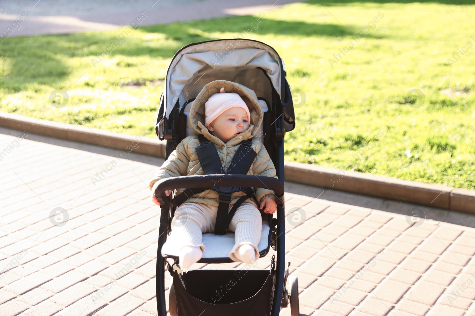 Cute little baby in stroller at park Photo of Cute little baby in stroller at park