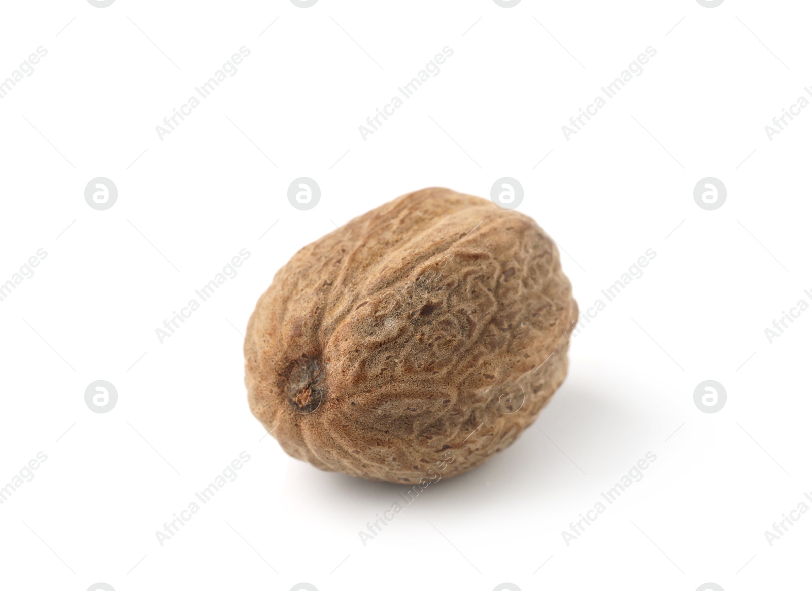Photo of One whole fresh nutmeg isolated on white