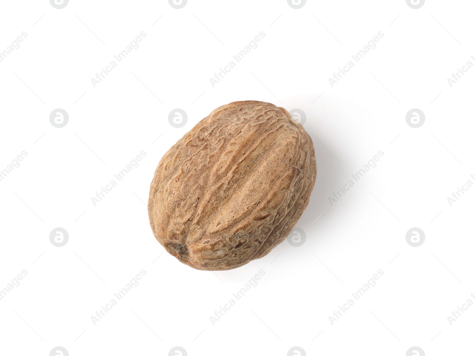 One whole fresh nutmeg isolated on white, top view Photo of One whole fresh nutmeg isolated on white, top view