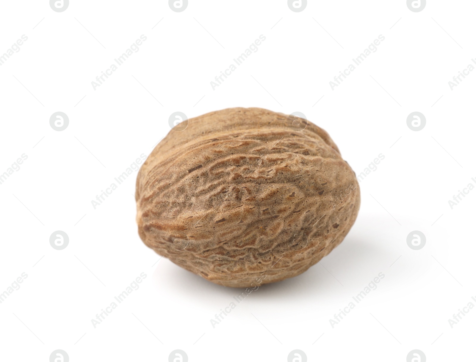 One whole fresh nutmeg isolated on white Photo of One whole fresh nutmeg isolated on white