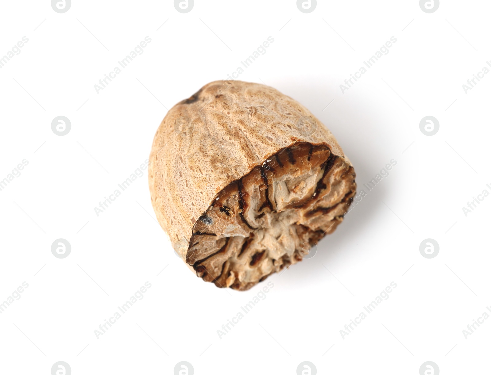 Half of fresh nutmeg isolated on white, above view Photo of Half of fresh nutmeg isolated on white, above view
