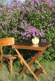 Photo of Beautiful lilac flowers in vase on wooden table in garden