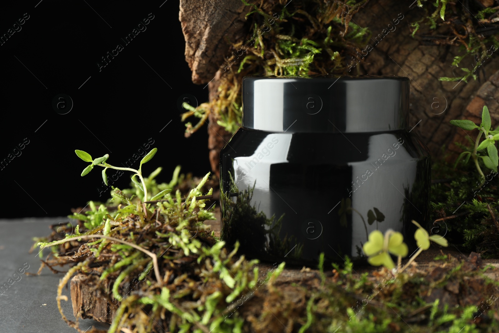 Jar of moisturizing body cream, tree bark and plants on grey table, closeup. Space for text Photo of Jar of moisturizing body cream, tree bark and plants on grey table, closeup. Space for text