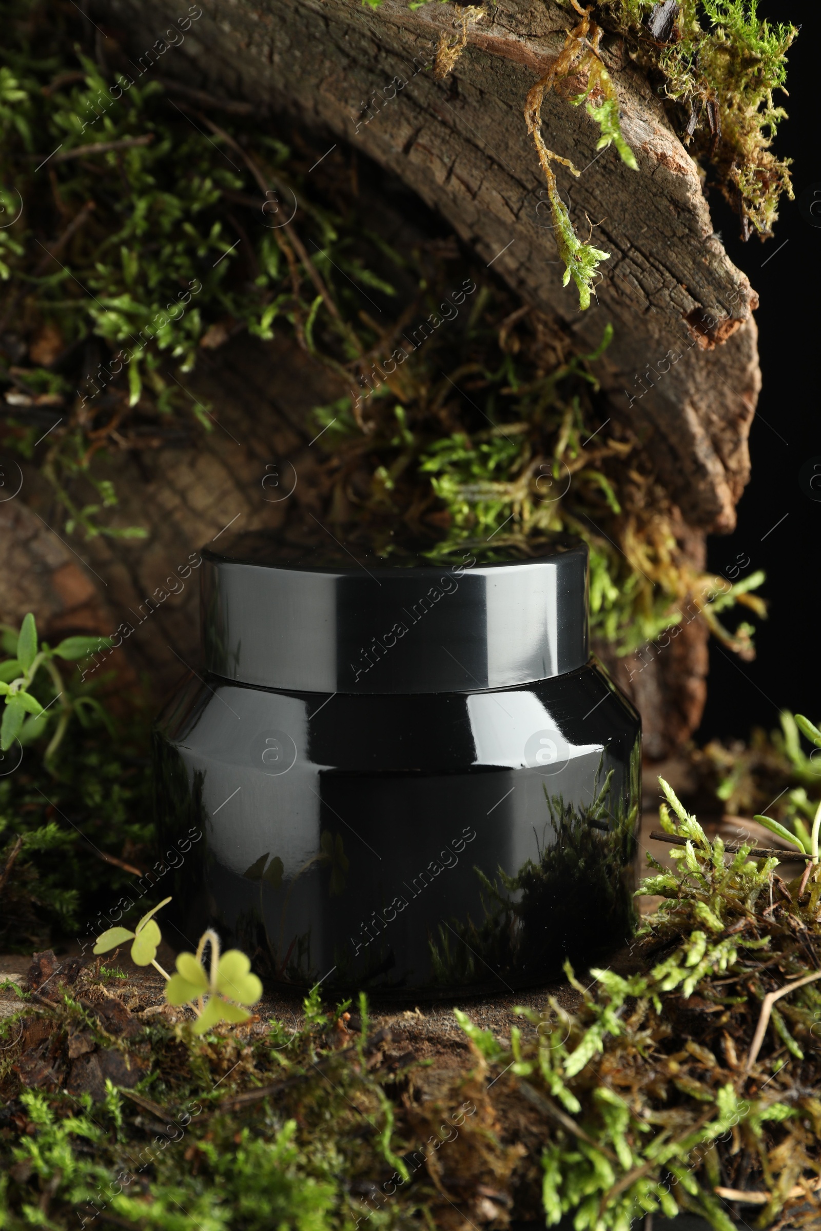 Jar of moisturizing body cream on tree bark with plants, closeup Photo of Jar of moisturizing body cream on tree bark with plants, closeup