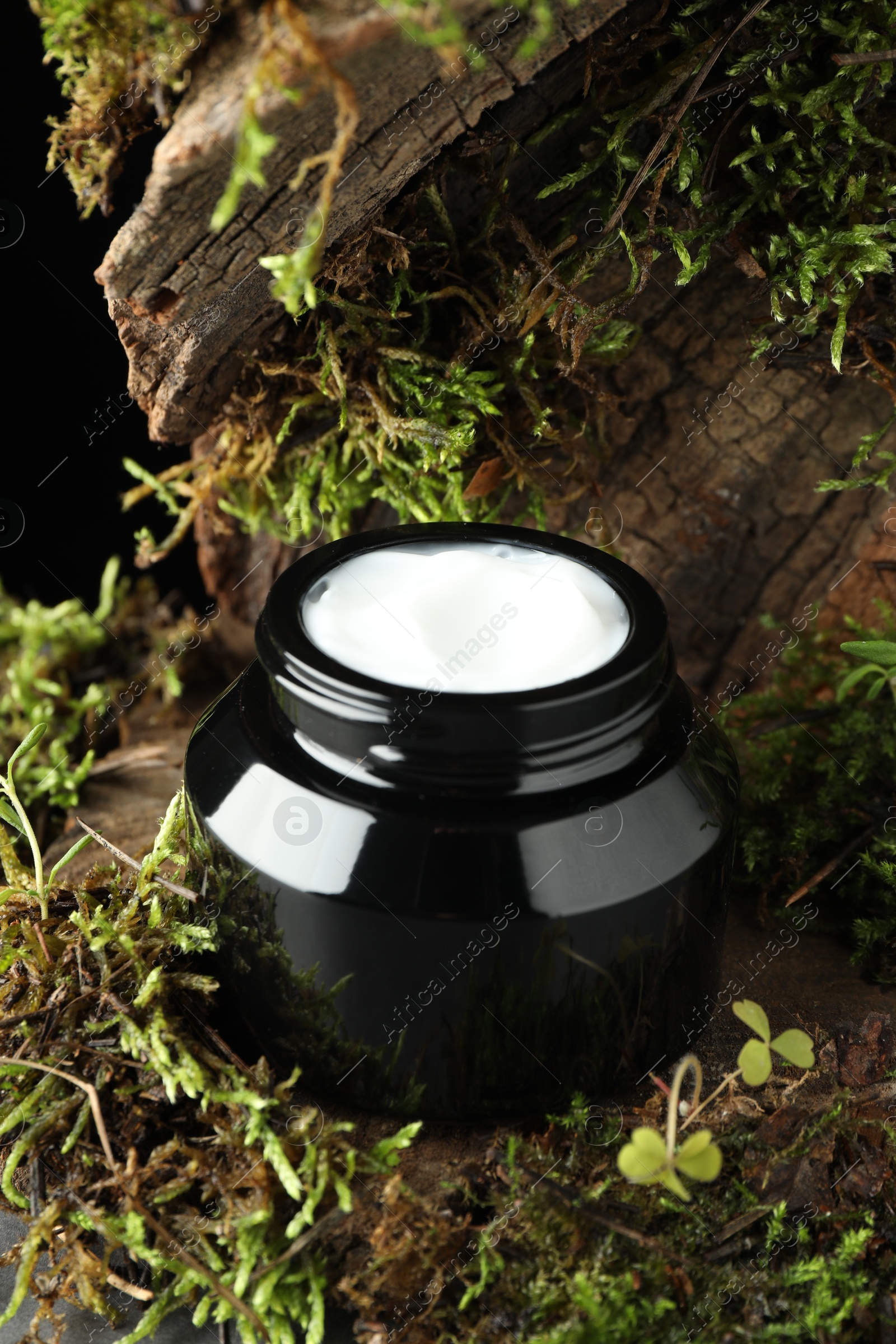 Jar of moisturizing body cream on tree bark with plants, closeup Photo of Jar of moisturizing body cream on tree bark with plants, closeup