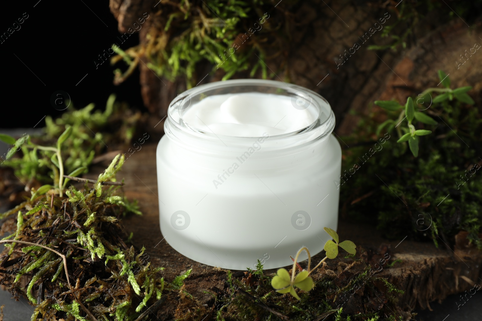 Photo of Jar of moisturizing body cream on tree bark with plants, closeup